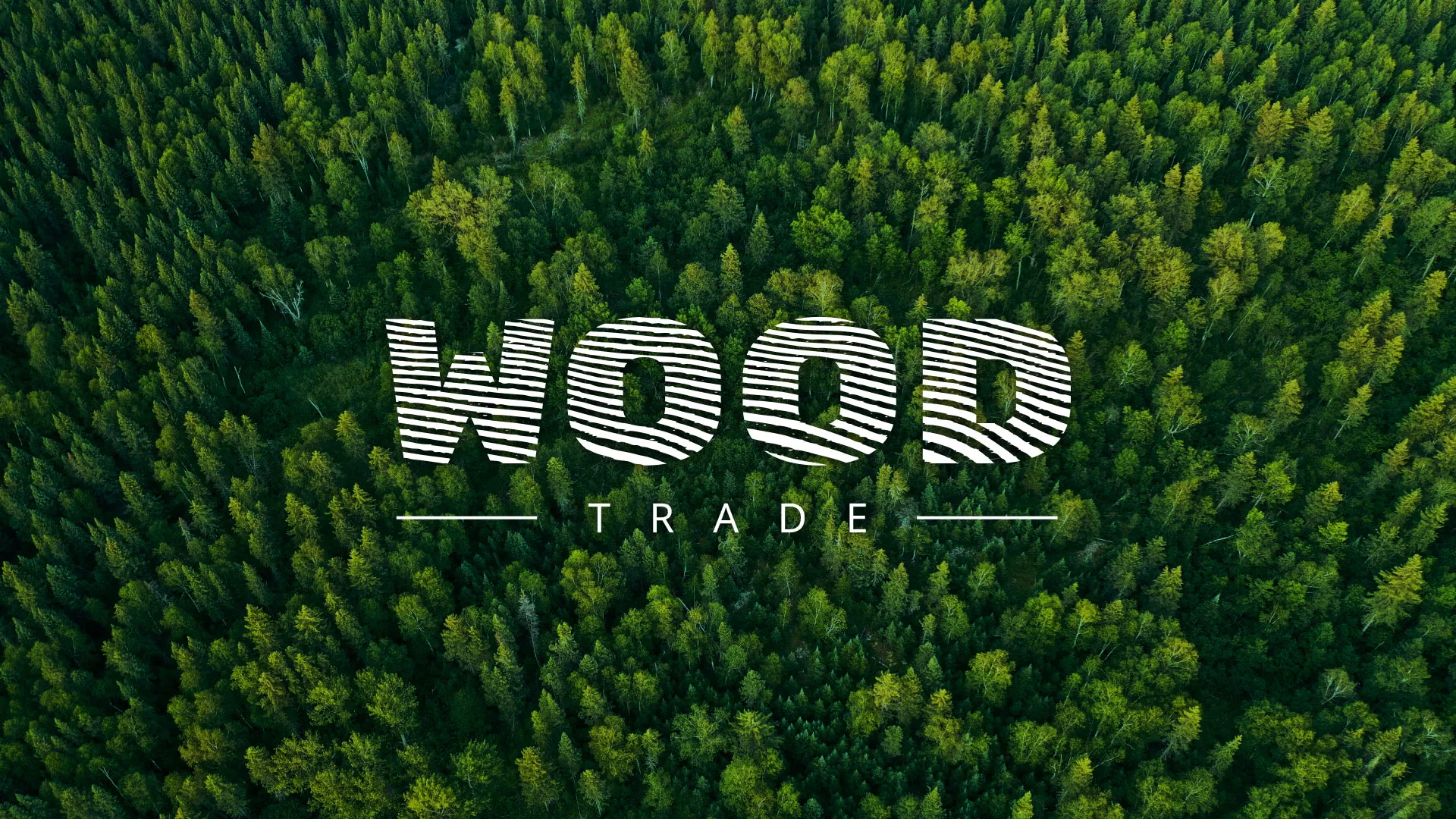 Разработка интернет-магазина компании «Wood Trade» в Каспийске